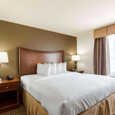 King Suite Accessible Non Smoking Quality Suites Promo Code