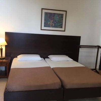 高級雙人/大床房 帶空調 大巴興地帝景客棧優惠