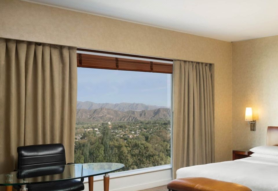 Park Hyatt Mendoza Hotel Casino and SpaDeluxe King Room