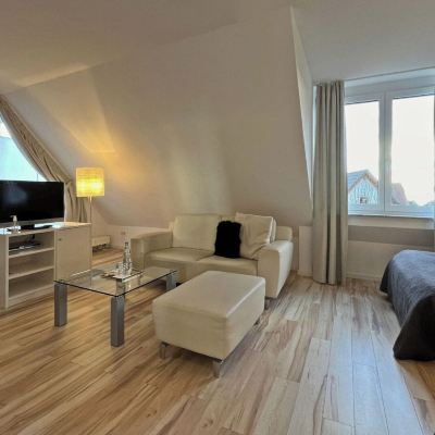 Junior-Studiosuite Mit Balkon Und Seeblick Bodenseehotel Renn Promo Code