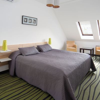 Deluxe Apartment Rubin Wellness & Conference Hotel Promo Code