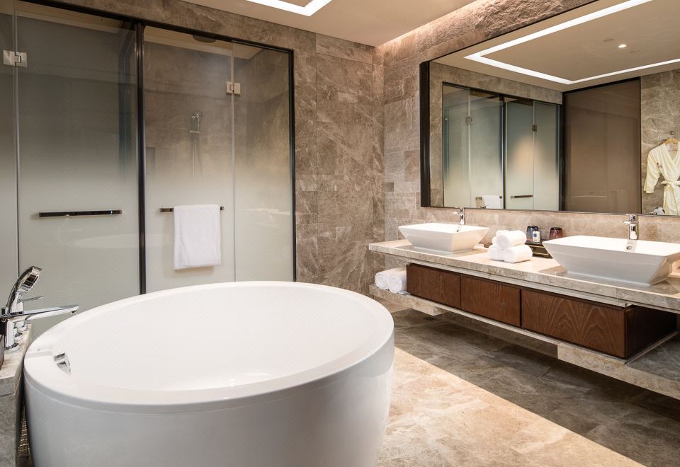 单卧套房（超大床带起居室 270°桥海景维港日夜）