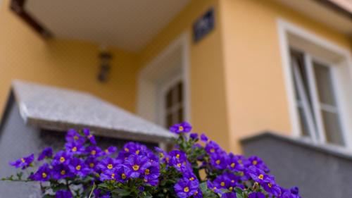 Ferienwohnung Claudia One-Bedroom Apartment