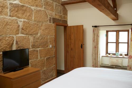 一卧室公寓 - 较高楼层