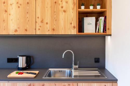 高级两卧室公寓