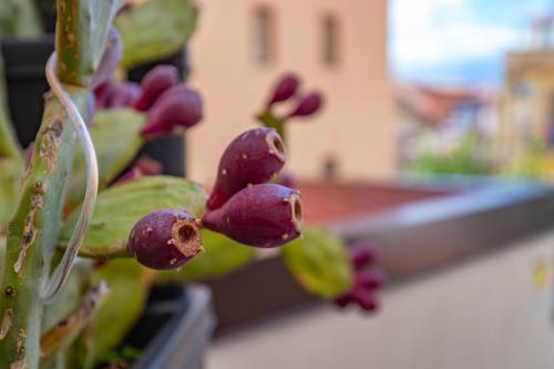公寓 - 地面楼层