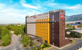 Ibis Bursa