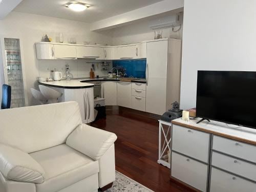 豪华两卧室公寓