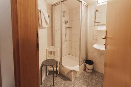 Pension Truya - Hof Single Room