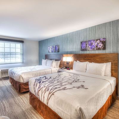 Standard Room, 2 Queen Beds, Non Smoking Sleep Inn Oakbrook Terrace - Chicago Promo Code