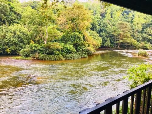 The Magical Tree House Double Room With Balcony