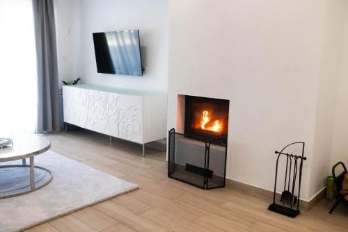 别墅（带独立泳池）