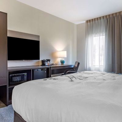 Standard King Room-Non-Smoking Sleep Inn & Suites Promo Code