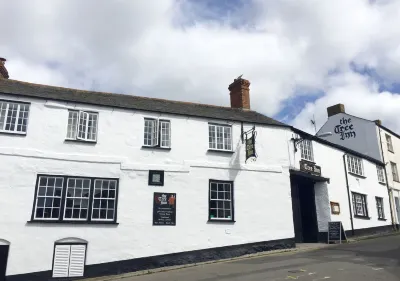 The Tree Inn Hotel di 