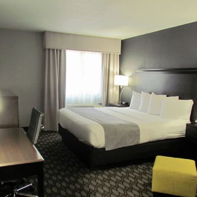 Basic Room, 1 King Bed, Non Smoking, Refrigerator&Microwave Oak Hill Inn & Suites Promo Code