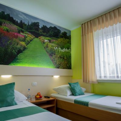 Standard Double Room, 2 Twin Beds Hotel Tabor Promo Code