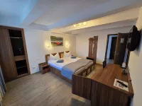 Pensiunea Transilvania Các khách sạn ở 