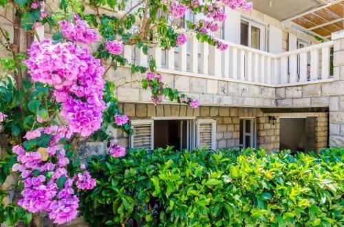 一室公寓 - 带双人床