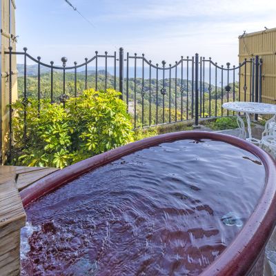 Pet-Friendly Accommodations [Japanese Room] [Non-Smoking] [Mountain View] [Ocean View] 和歌山すさみ温泉のリゾートホテル ホテル ベルヴェデーレ クーポン