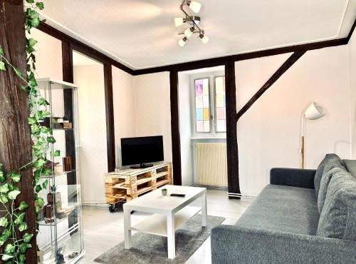 Seppala Charmant Appartement One-Bedroom Apartment