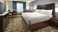 Hilton Garden Inn Tampa - Wesley Chapel