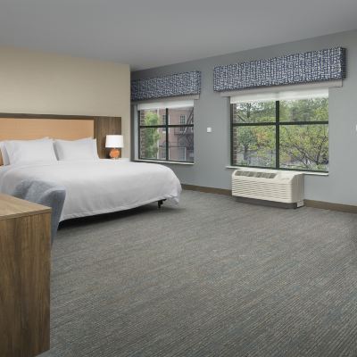 1 King Bed Mobility/Hearing Accessible Room With Roll-in Shower-Non-Smoking Hampton Inn Baltimore-Downtown-Convention Center Promo Code