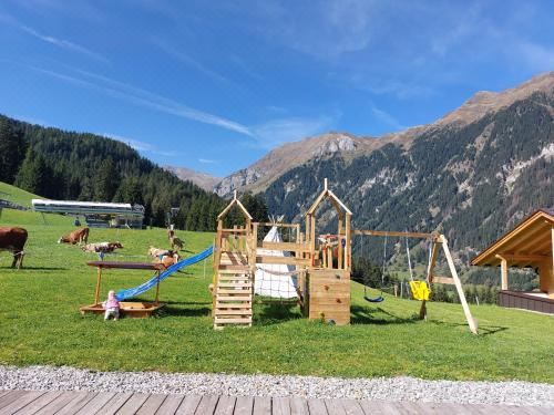 高级两卧室公寓