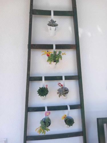 Apartman Flumen One-Bedroom Apartment