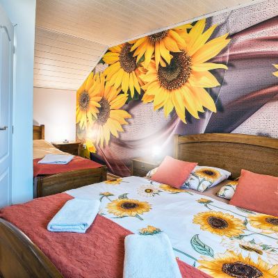 Apartment (Slunečnica) VeLa Promo Code