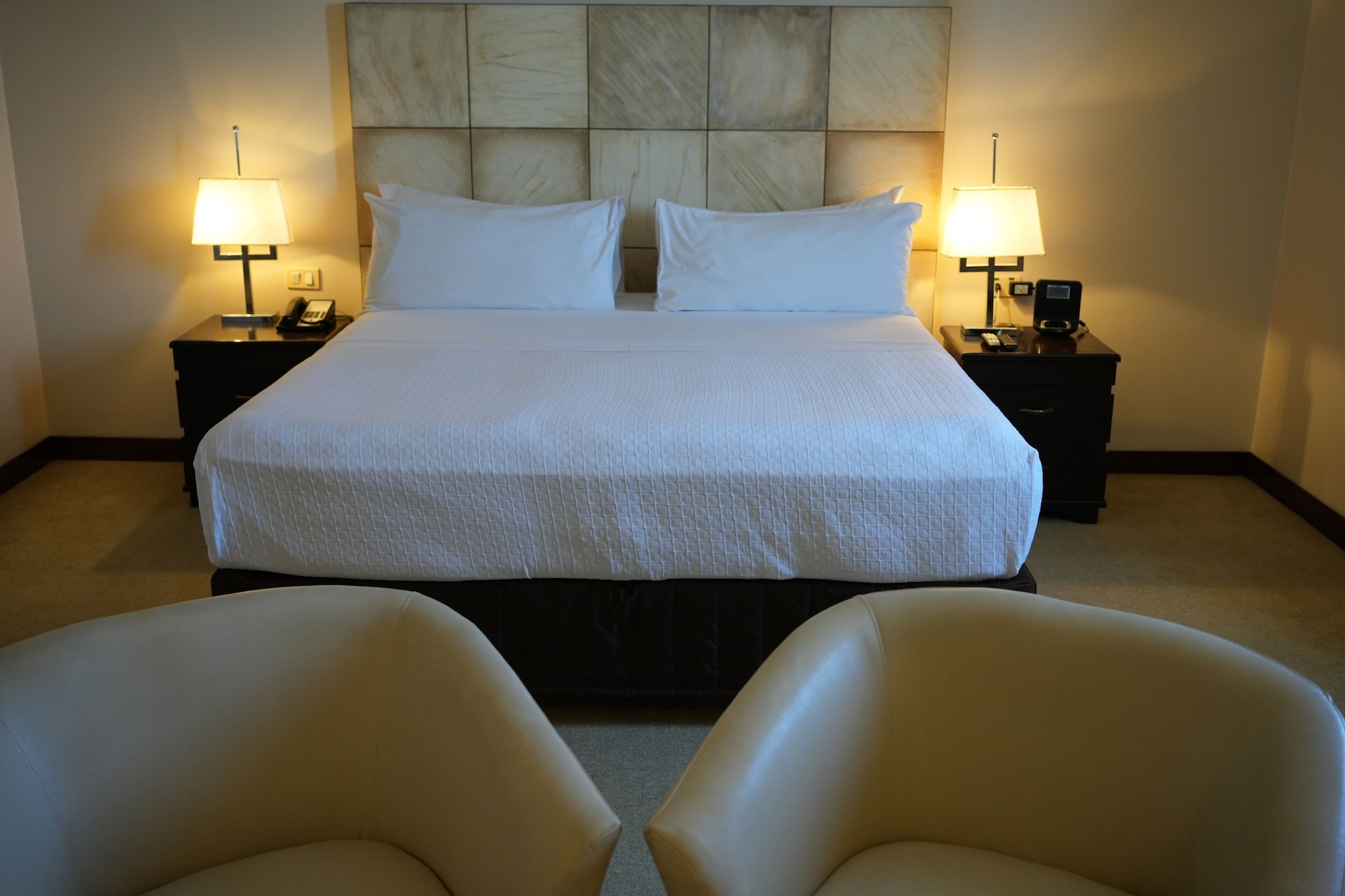 一卧室特大床套房