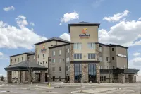Comfort Suites Hotels in 