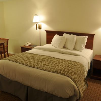 Premium Single Room, 1 Queen Bed, Refrigerator & Microwave Fort Davidson Hotel Promo Code