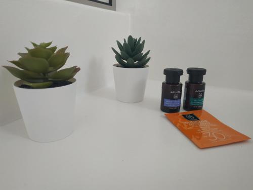 海景豪华双人房