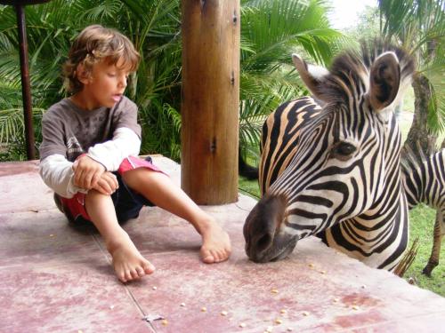 别墅（带独立泳池）