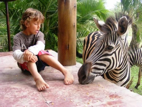Buster's River Lodge Villa With Private Pool