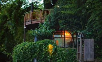 Tree House Guesthouse