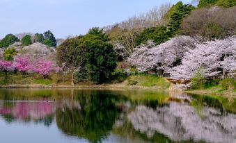 Toyoko Inn Yokohama Tsurumi Eki Higashi Guchi