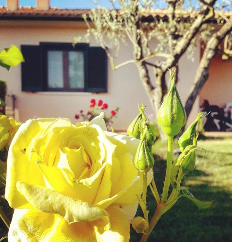 园景两卧室公寓