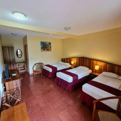Hotel Austria Hotels in 