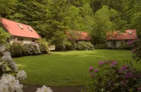 Steamboat Inn Hotel di 