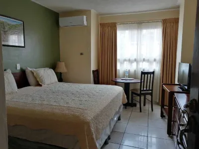Hotel Palace Ejecutivo Hotels in 