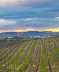 Casita Azul - historic duplex in the heart of downtown Paso Robles