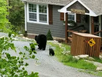 Free EV Charging, Loft, Views, Hot Tub, Pets, Private, 2 Beds, Firepit & Golfing