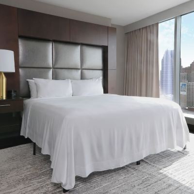 Standard King Suite with Sofa Bed Greektown Casino-Hotel Promo Code