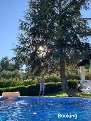 别墅（带独立泳池）