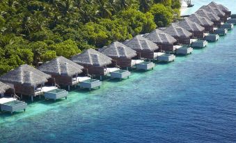 aerial view of a row of wooden houses on stilts over the ocean , surrounded by lush green vegetation at Dusit Thani Maldives