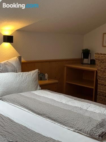 大型一卧室公寓