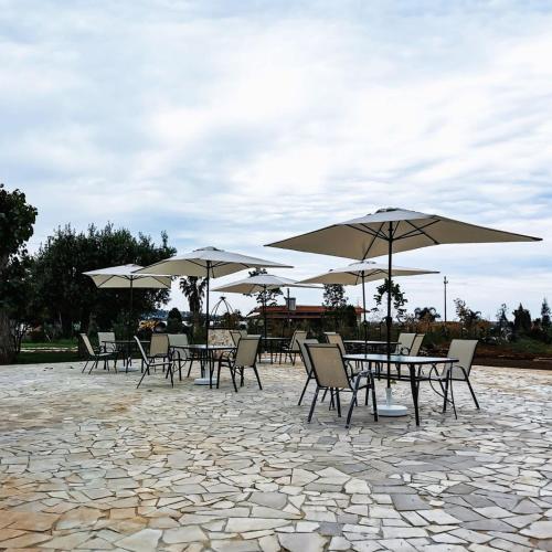 一室房（带阳台）