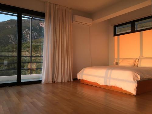 别墅（带独立泳池）