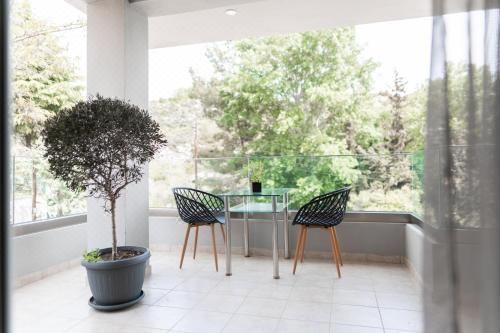 带阳台的小型套房